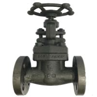 ​ANSI 150# Forged Steel ​Globe Valve
