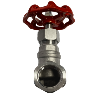 BSPP Threaded End SS316 Globe Valve