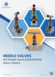 RFS Needle Valves SS316 M×F 6000 PSI