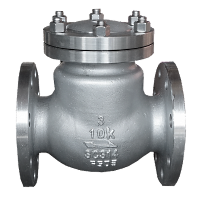 JIS 10K SS316 ​​Swing Check Valve