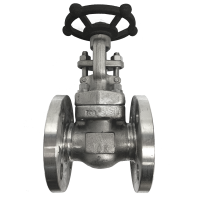 GATE VALVES