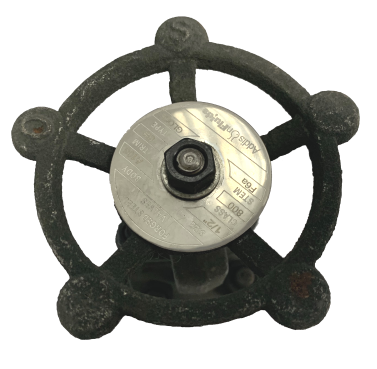 Threaded End Forged Steel Globe Valve