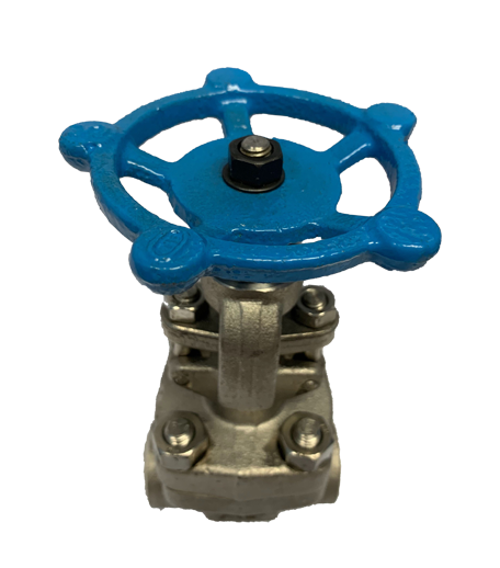 Globe Valve SS316 Berulir 800 PSI &mdash; 3