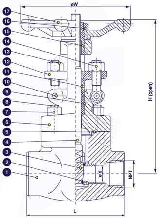 Gambar potongan gate valve forged steel berulir 800 PSI